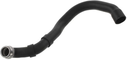 Mercedes Benz Radiateurslang