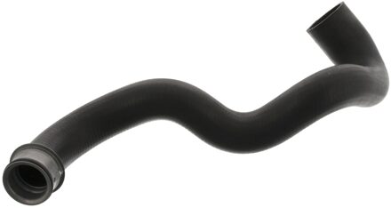 Mercedes Benz Radiateurslang