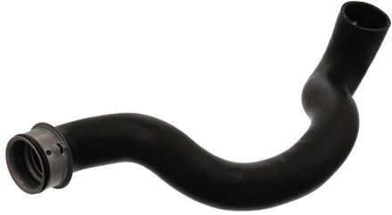 Mercedes Benz Radiateurslang