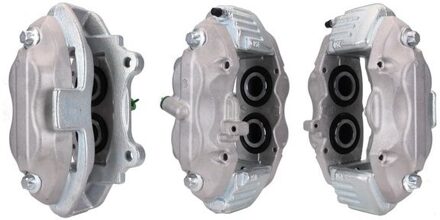 Mercedes Benz Remklauw 831901