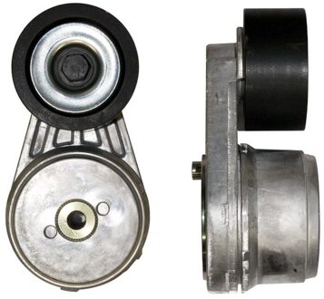 Mercedes Benz Riemspanner, Poly V-riem DriveAlign® T38644