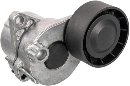 Mercedes Benz Riemspanner, poly V-riem