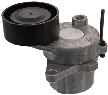 Mercedes Benz Riemspanner, poly V-riem