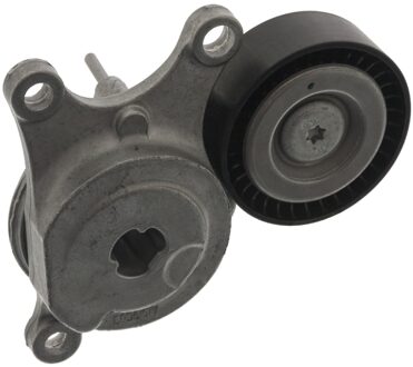 Mercedes Benz riemspanner voor multi-V-riem 100625
