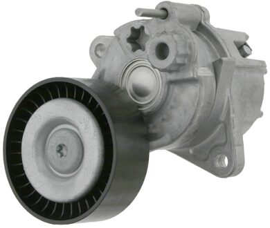 Mercedes Benz Riemspanner