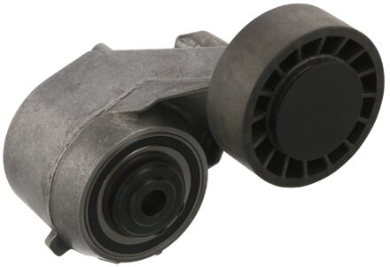 Mercedes Benz Riemspanner