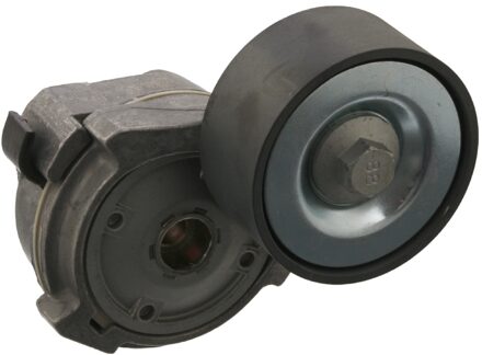 Mercedes Benz Riemspanner