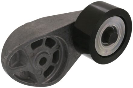 Mercedes Benz Riemspanner