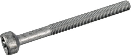 Mercedes Benz Schroef, inspuitstukhouder 172930