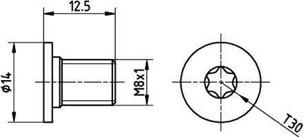 Mercedes Benz Schroef, remschijf TPM0002