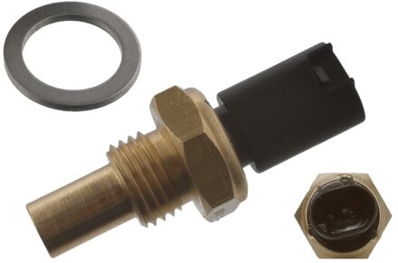 Mercedes Benz Sensor, brandstoftemperatuur