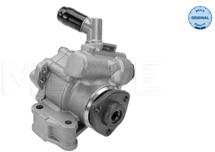 Mercedes Benz Servo pomp 0146310000