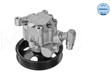 Mercedes Benz Servo pomp 0146310003