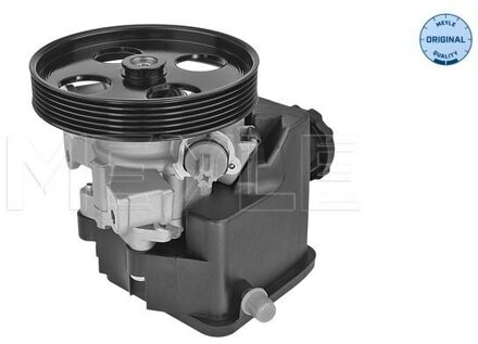 Mercedes Benz Servo pomp 0146310013