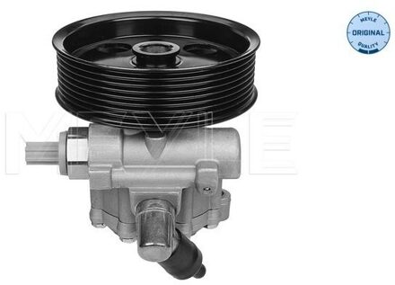 Mercedes Benz Servo pomp 0146310014