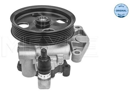 Mercedes Benz Servo pomp 0146310017