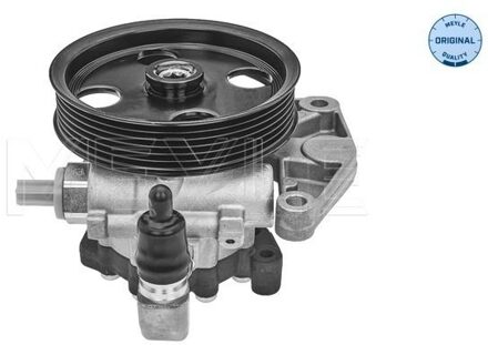 Mercedes Benz Servo pomp 0146310018