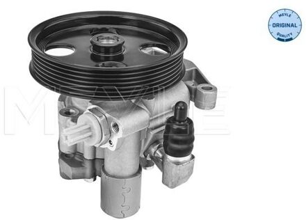 Mercedes Benz Servo pomp 0146310033