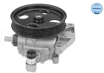 Mercedes Benz Servo pomp 0146310040