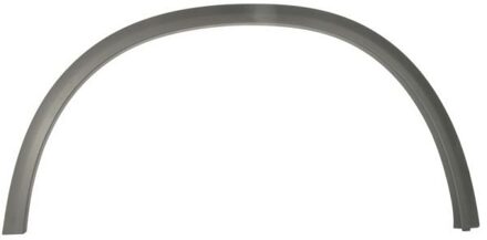 Mercedes Benz Sier- / beschermingspaneel, spatbord 6601023531421P