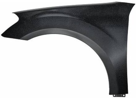 Mercedes Benz Spatbord 1691007