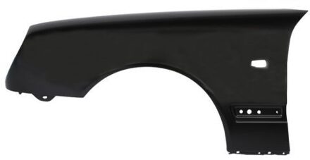 Mercedes Benz Spatbord 6504043527313P