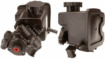 Mercedes Benz Stuurpomp JPR833