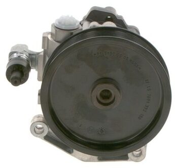 Mercedes Benz Stuurpomp