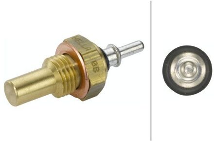 Mercedes Benz Temperatuursensor