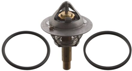 Mercedes Benz thermostaat 106507