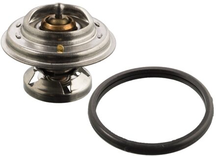 Mercedes Benz Thermostaat