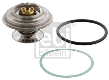 Mercedes Benz Thermostaat