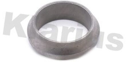 Mercedes Benz Uitlaatpakking 410182