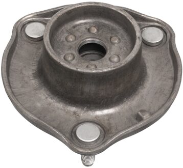 Mercedes Benz veerpootvoering 100409