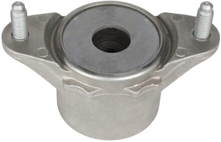 Mercedes Benz veerpootvoering 100924