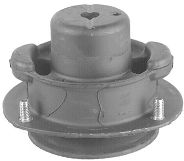 Mercedes Benz Veerpootvoering