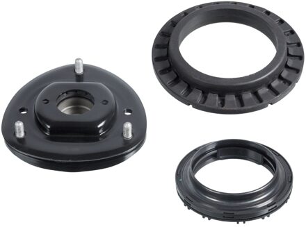 Mercedes Benz Veerpootvoering