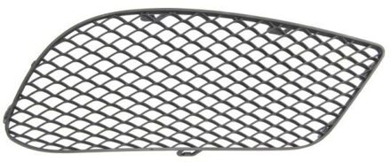 Mercedes Benz Ventilatiegrille, bumper 5513003529914P