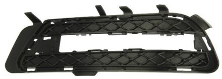 Mercedes Benz Ventilatiegrille, bumper 6502073529915P