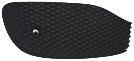 Mercedes Benz Ventilatiegrille, bumper 6502073531993PP