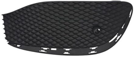 Mercedes Benz Ventilatiegrille, bumper 6502073531994LP