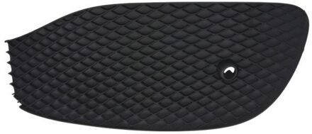 Mercedes Benz Ventilatiegrille, bumper 6502073531994PP