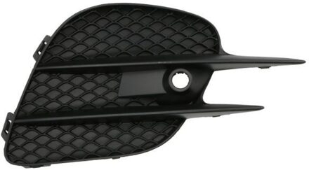 Mercedes Benz Ventilatiegrille, bumper 6502073533912P