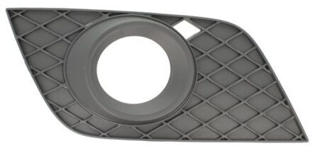 Mercedes Benz Ventilatiegrille, bumper 6502073538918P