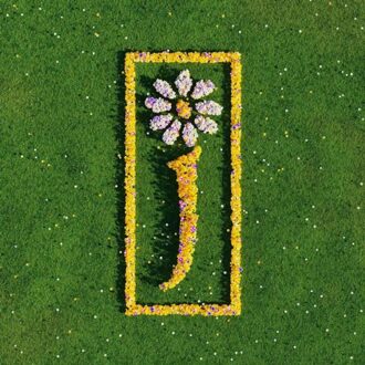 Mercury Nothing But Love: The Definitive Best Of - James