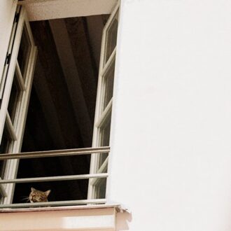 Merge Something Soft - M(h)aol