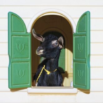 Merge Wild Loneliness - Superchunk