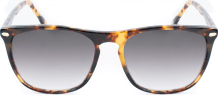 MERIDIAN-II-S168 MERIDIAN II 55 S168 Zonnebril Bruin - One Size