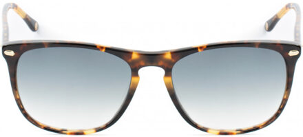 MERIDIAN-II-S172 MERIDIAN II 55 S172 Zonnebril Bruin - One Size