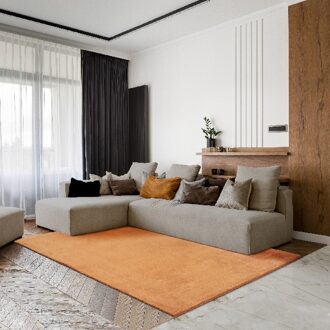 Merinos Karpet24 Loft modern pluizig laagpolig tapijt, antislip onderkant, wasbaar tot 30 graden, heerlijk zacht, bontlook, terra-120 x 160 cm